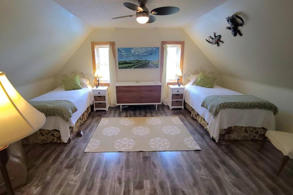 Margate Homestead 'Art House' /Views/Beaches/Golf Kensington Εξωτερικό φωτογραφία