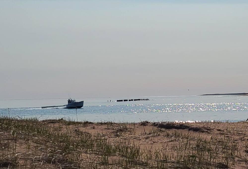Margate Homestead 'Art House' /Views/Beaches/Golf Kensington Εξωτερικό φωτογραφία