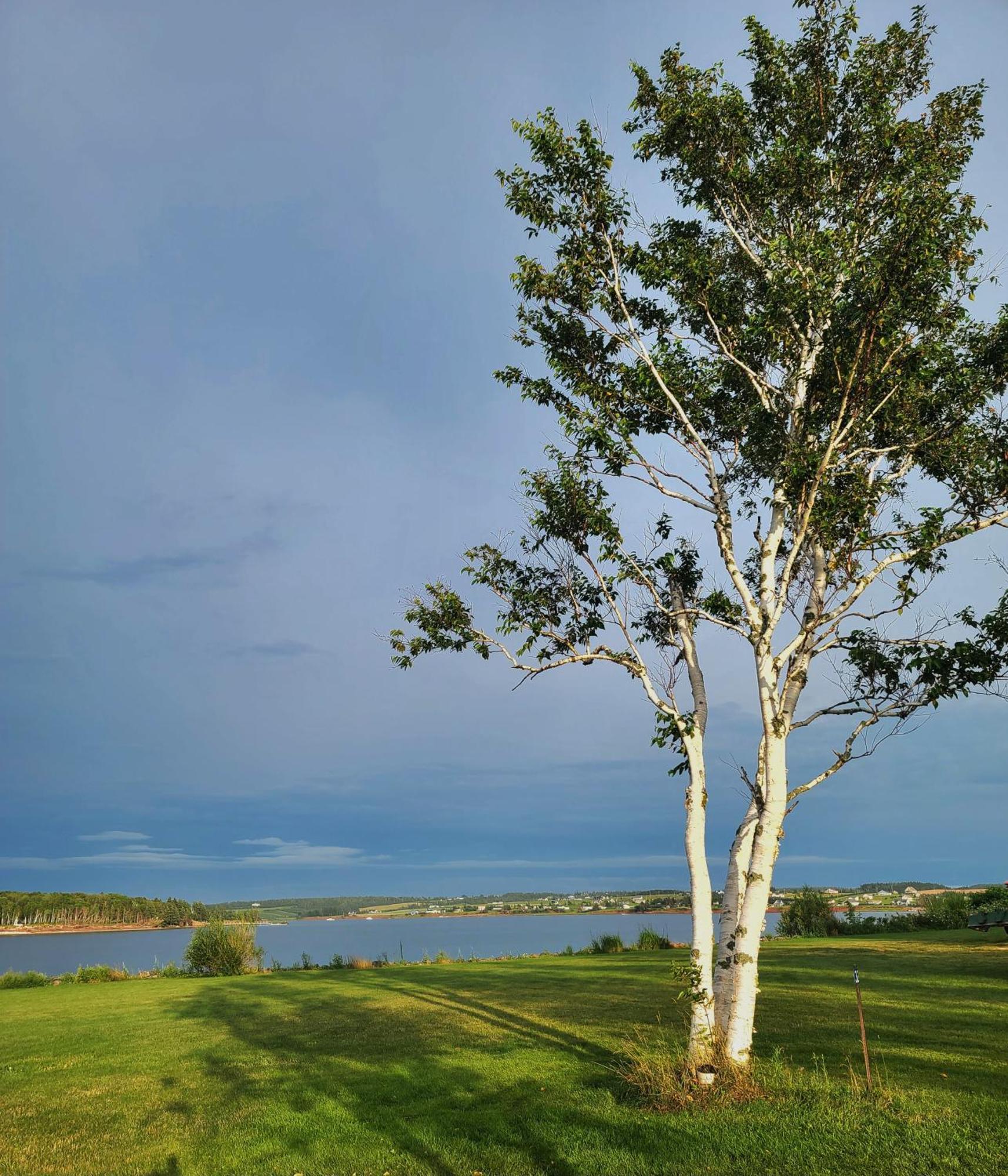 Margate Homestead 'Art House' /Views/Beaches/Golf Kensington Εξωτερικό φωτογραφία